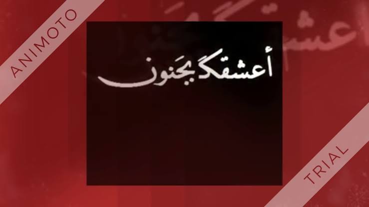 شعر للحبيب الغالي - اشعار معبرة عن كميه الحب اللى فى قلبى 2415 2