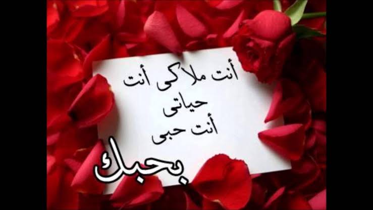 شعر للحبيب الغالي - اشعار معبرة عن كميه الحب اللى فى قلبى 2415 1