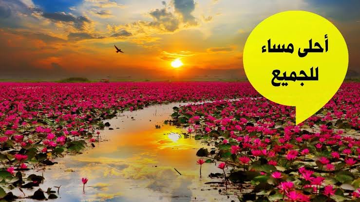 مساء الخير للجميع , اجمل مساء على عيونكم الحلوين