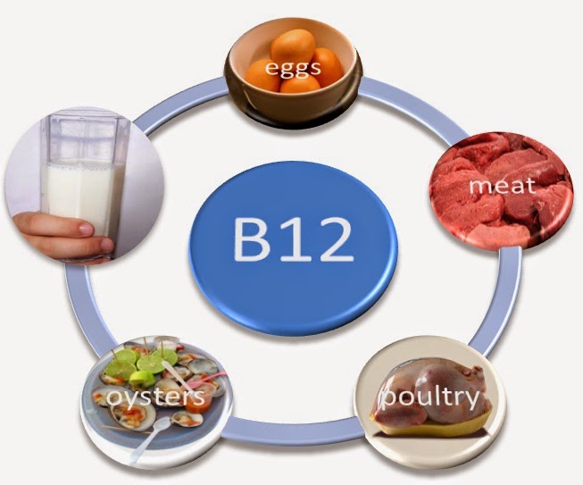 ما هو فيتامين b12 , فيتامين b12