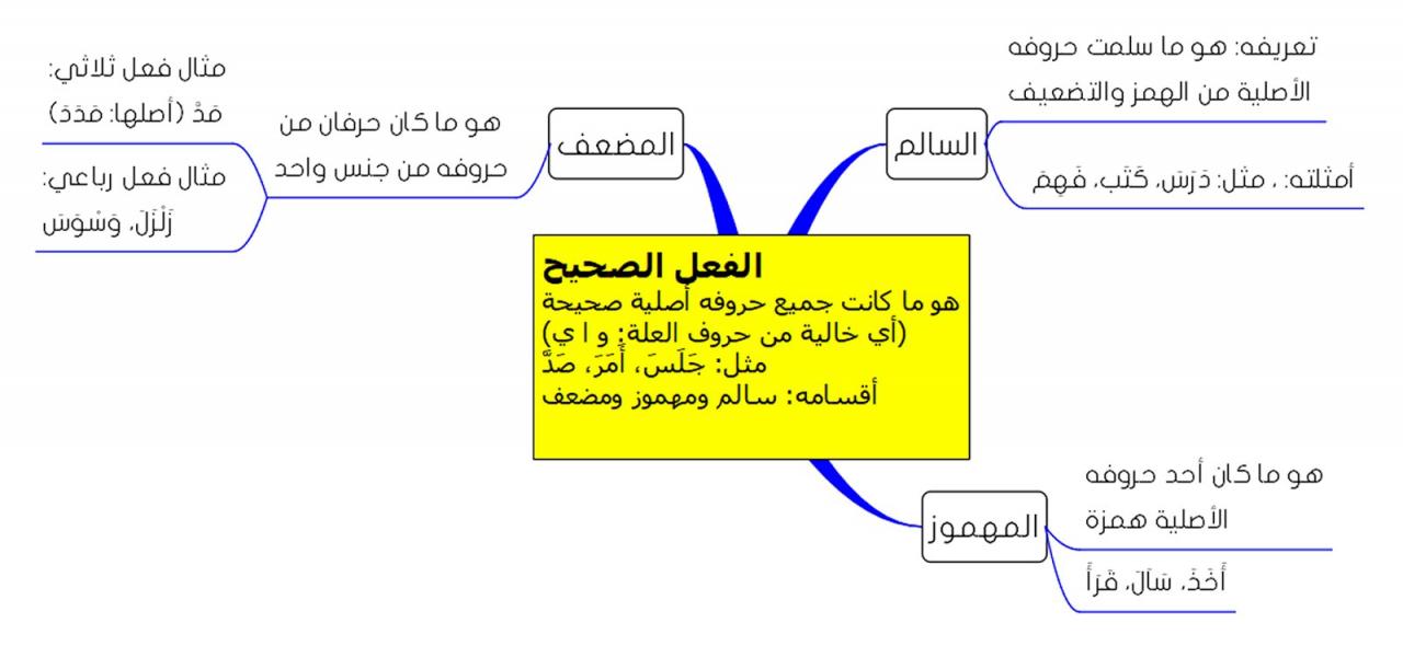 معلومات عن الفعل الصحيح , اذكر انواع الفعل الصحيح