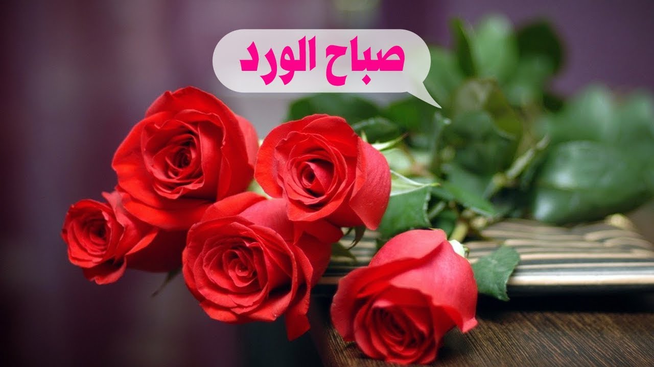 صباح الحب والشوق - كلمات صباحية رومانسية 2535 8