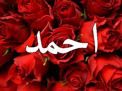 صور اسم احمد - رمزيات عليها اسم احمد 2542 4