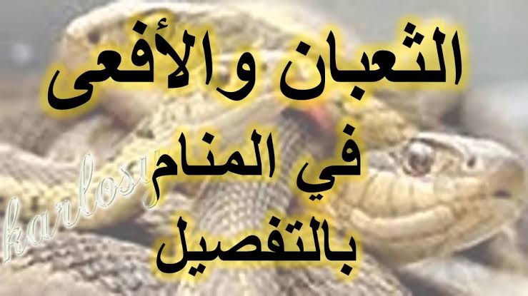 تفسير الافعى في المنام , دلالات متنوعه لوجود افعى فى حلمك