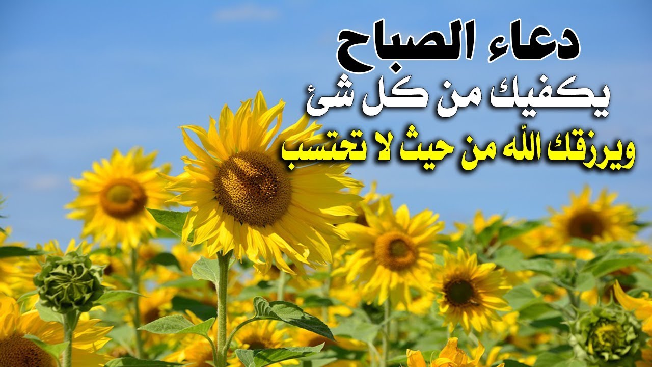 دعاء الصباح - اروع الكلمات التى تقال فى بدايه يومك 4542 10