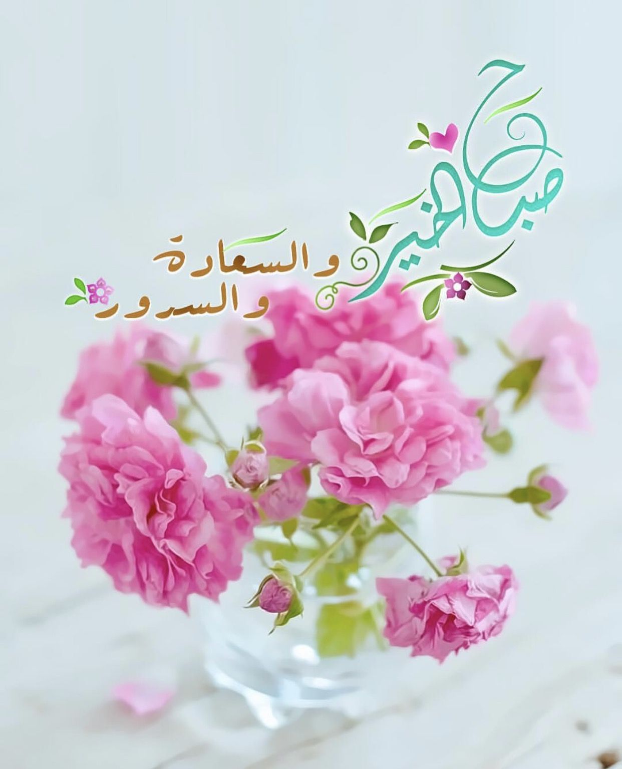 صباح الخير 2019 - العام الماضي حمل لنا الكثير من الصور الجميلة 3440 6