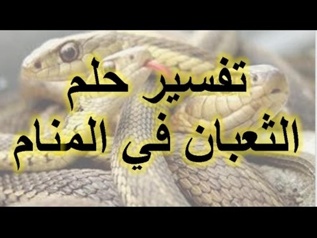 رؤية الثعبان في المنام - بعض المعاني لماذا نرى الثعبان في المنام 3395 3