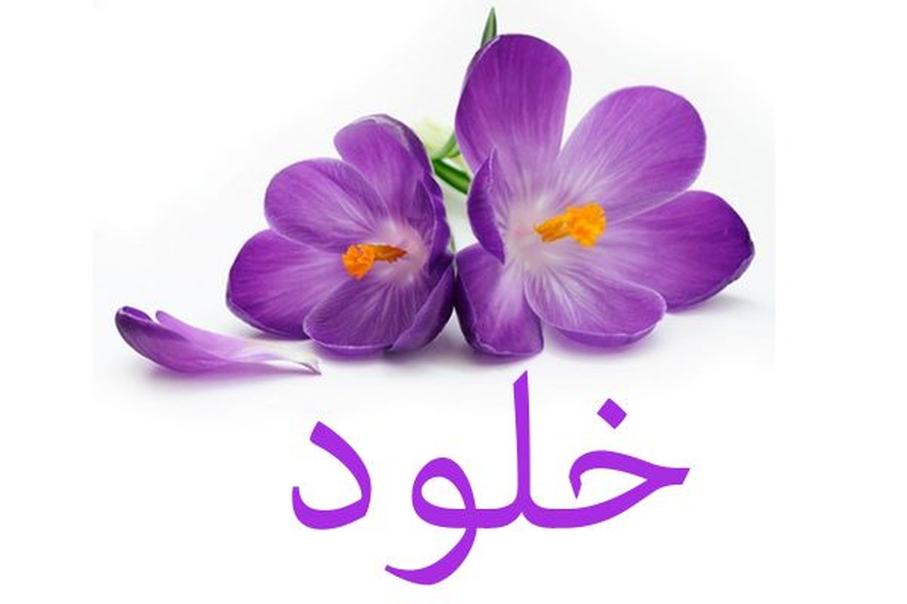 اسم خلود بالصور - احلى تصاميم لاسم خلود 483 6