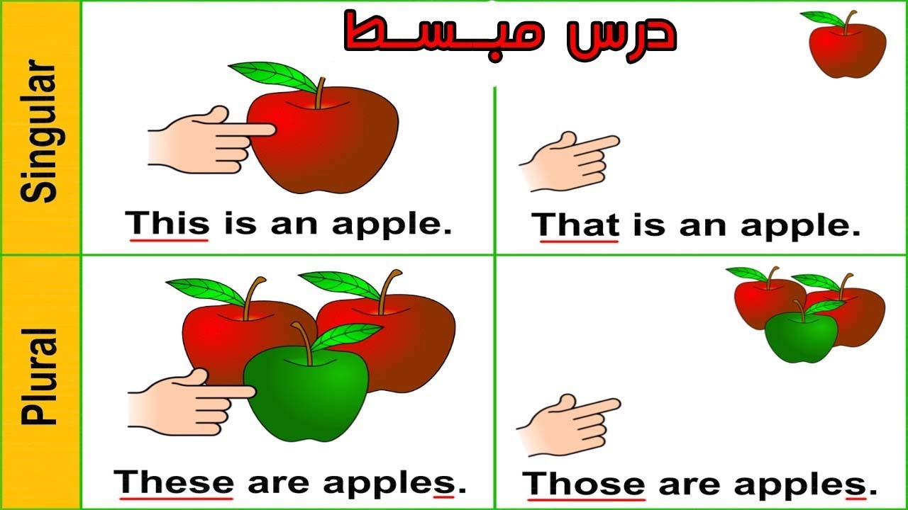 كلمة تفاح بالانجليزي , ما معني كلمه تفاح بلانجليزي