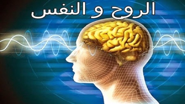 الفرق بين النفس والروح - اوجه المقارنة بين النفس والروح 4969 8