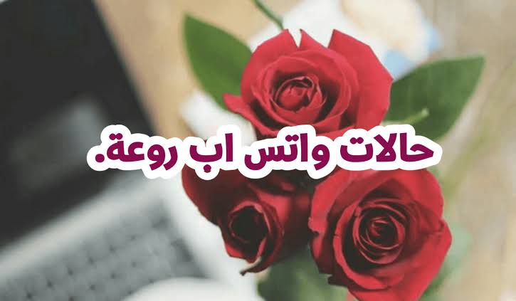 حالات واتس اب حلوه وروعه , شارك اصحابك باجمل الحالات