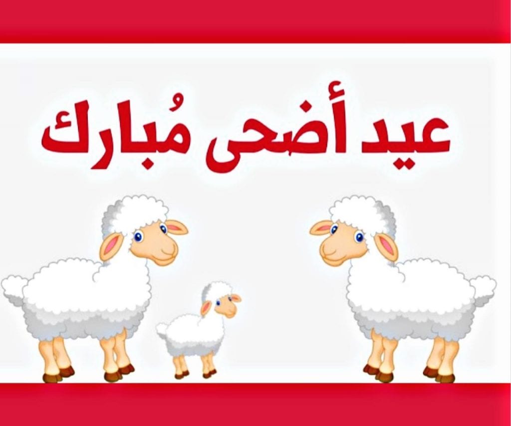 تعبير عن عيد الاضحى قصير جدا , اجمل كلام تهنئه لعيد الاضحي