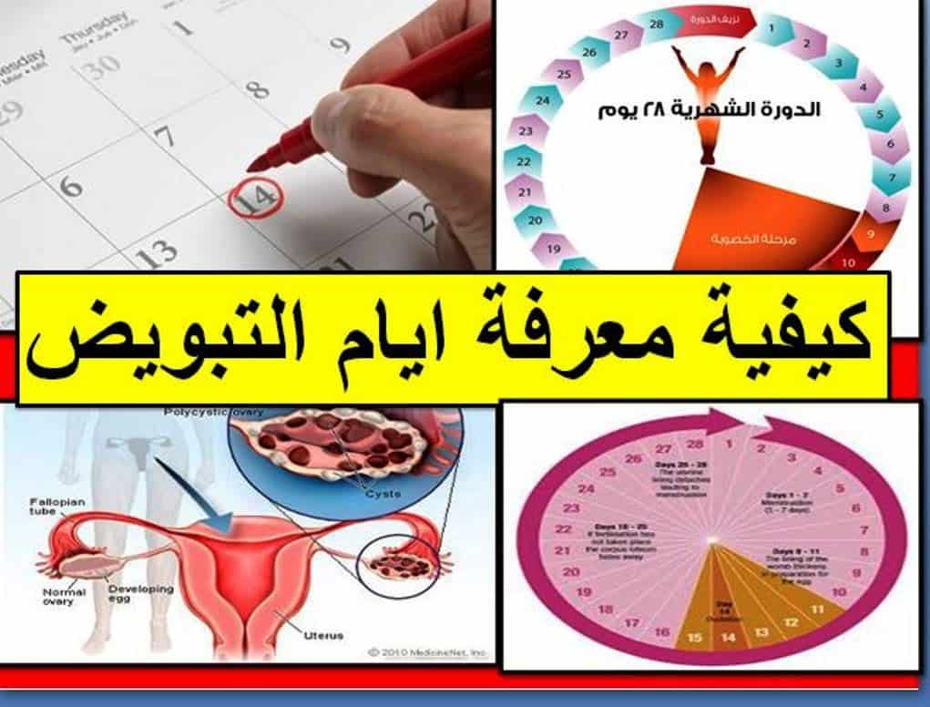 لو نفسك فى مولود تعالى هنا , الايام المناسبة للحمل بعد الدورة الشهرية