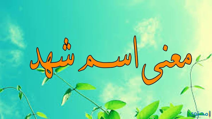 ما معنى اسم شهد , ارق اسم للبنوتات الصغار