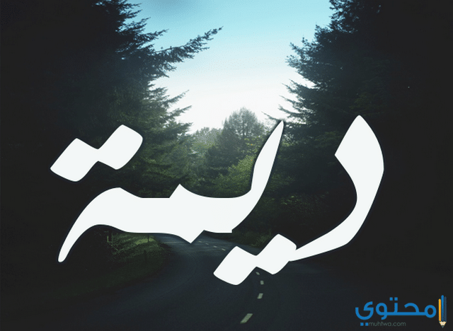 اسم ديمه بالصور - تصاميم لاسم ديمه 54 4