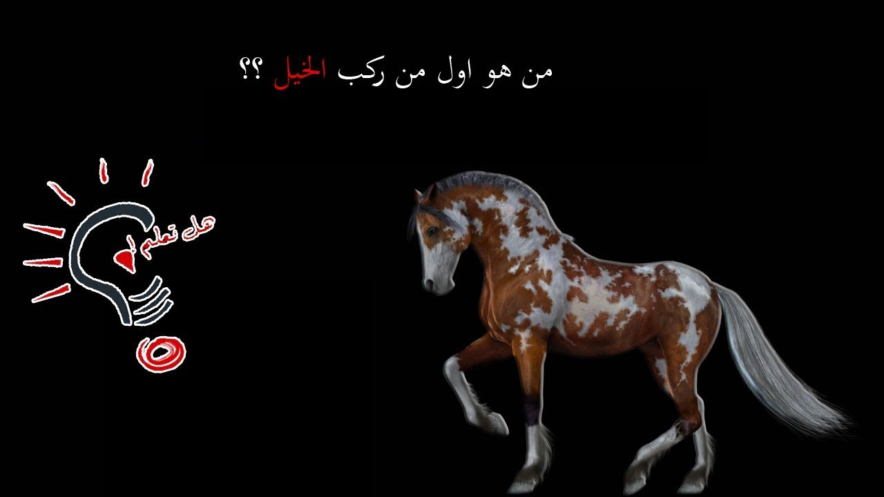 اول من ركب الخيل - اذكر اول من ركب الخيل وفوائد واهميه ركوب الخيل 10968 1