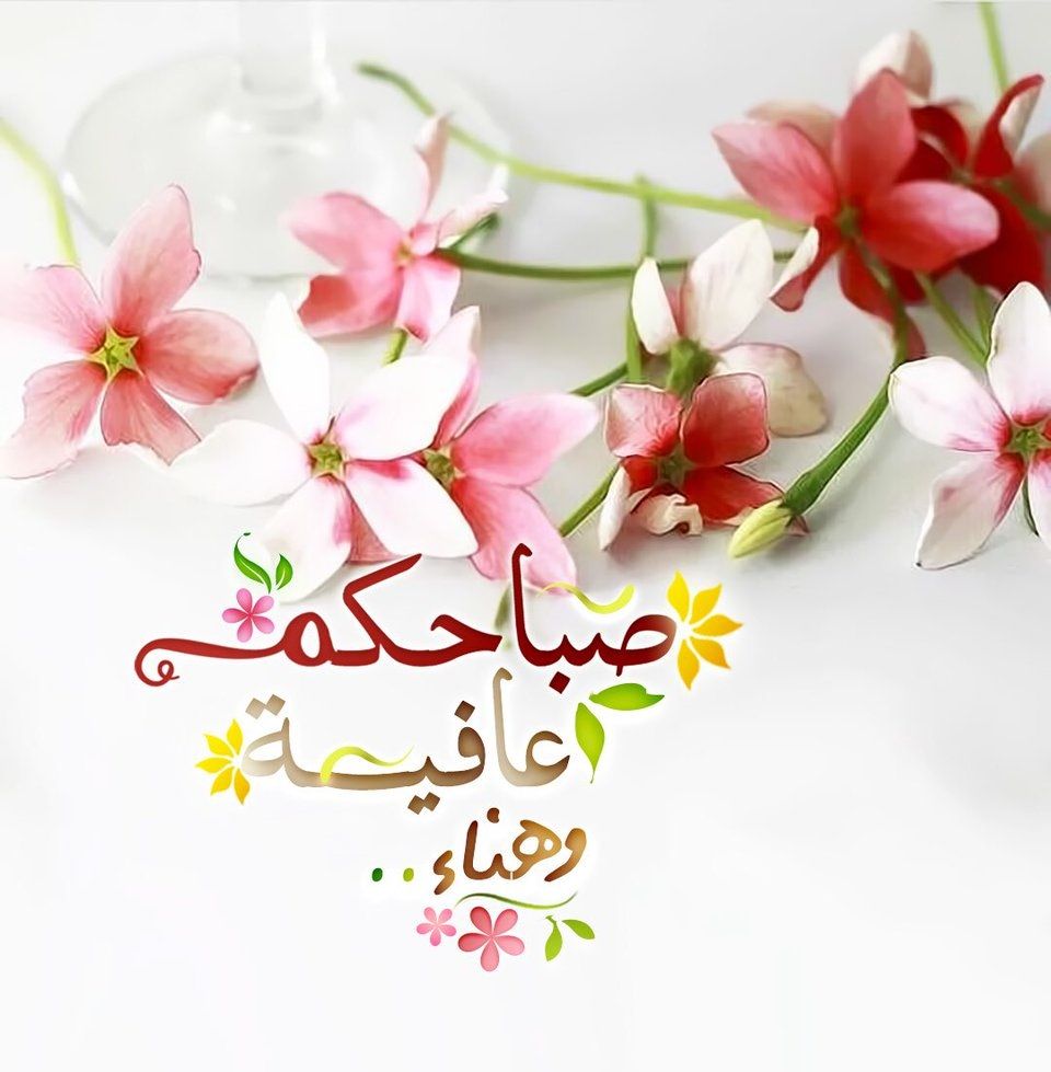 صباح الخير 2019 - العام الماضي حمل لنا الكثير من الصور الجميلة 3440 5