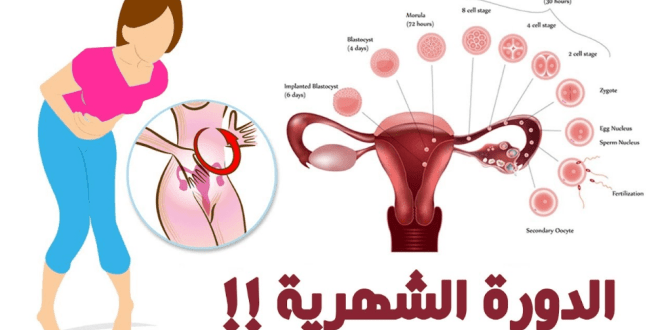 مشاكل الدورة الشهرية عند البنات , مشاكلها عادى ولا مش عادي تعالي اعرفي