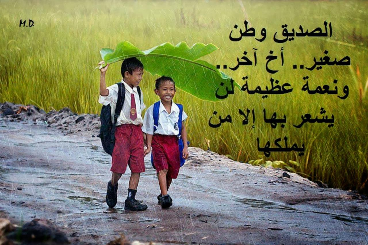 كلمات عن الصداقة - صورة حلوة مكتوب عليها كلام لصديقى 4572 9