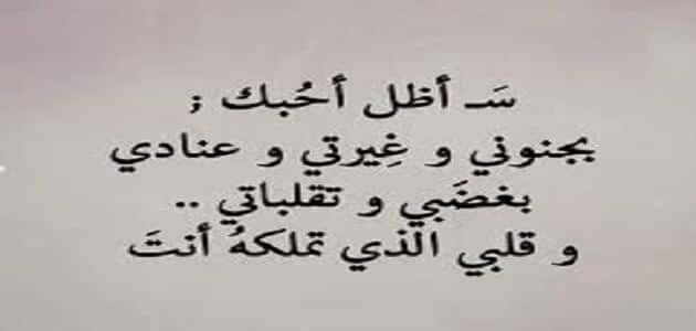 اجمل ماقيل في الحب , قلبي اختارك تبقي حبيبه