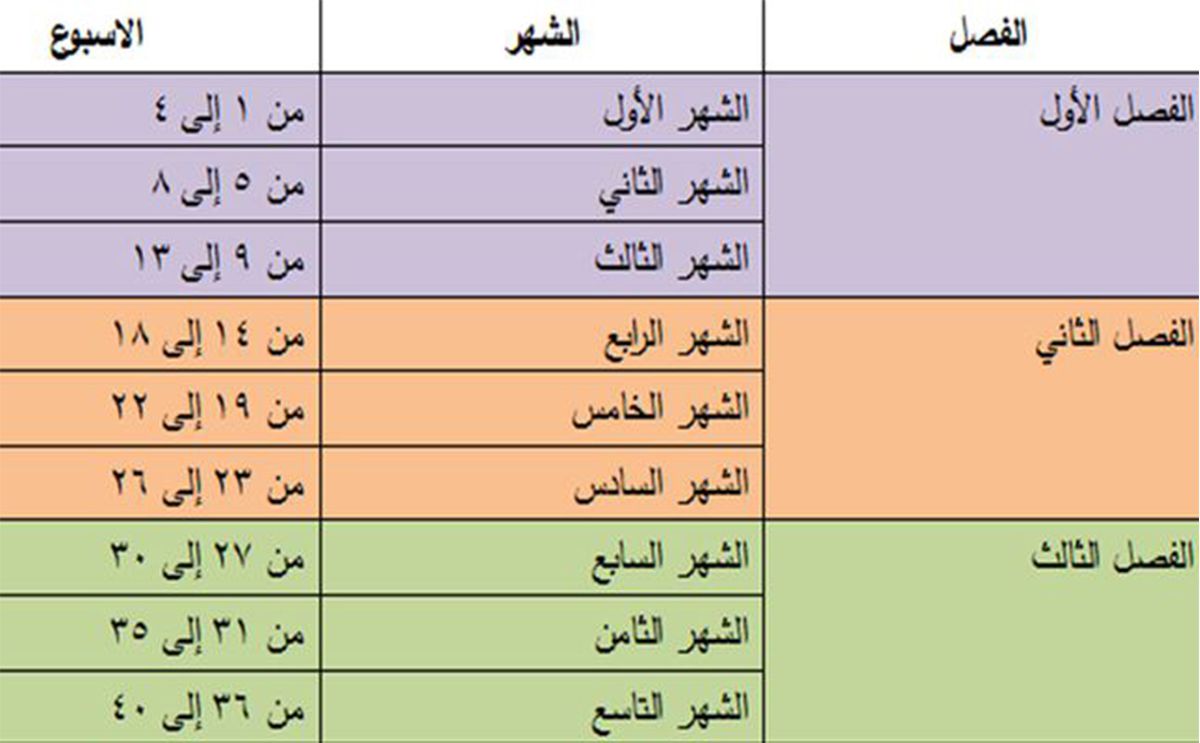 طريقة حساب الحمل بالاسابيع - كيفيه حساب الحمل بلاسبوع 11141 2