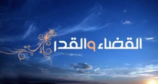 4723 2 الفرق بين القضاء والقدر - اوجه الاختلاف بين القضاء والقدر احمد فريد