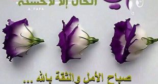 4899 10 ادعية صباحية - اجمل دعاء في الصباح احمد فريد