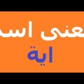 5129 2 معنى اسم اية - مرادف اسم ايه في قاموس الاسامي احمد فريد