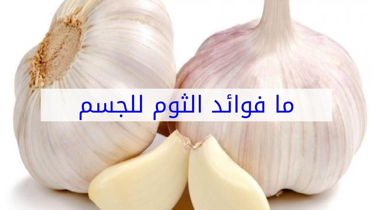 فوائد الثوم للجسم , الثوم كعلاج وتنقية الجسم