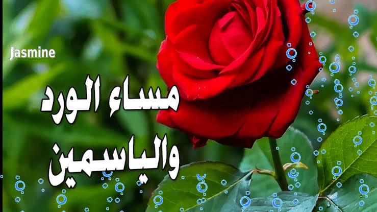 مساء الورد والياسمين , ارق مساء كله سعاده و راحه بال