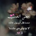 2664 14 معنى الحب - عيشو اجمل ايامك مع الحب احمد فريد