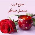2458 10 مسجات صباح الخير رومانسية - صباح الخير ياروحي عزيزة قصي