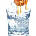 11074 1 فوائد العسل مع الماء - اهميه استخدام العسل مع الماء وفوائده نوف