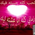 7062 1 الحب كله كلمات -من اجمل اغاني ام كلثوم الحب كله احمد فريد